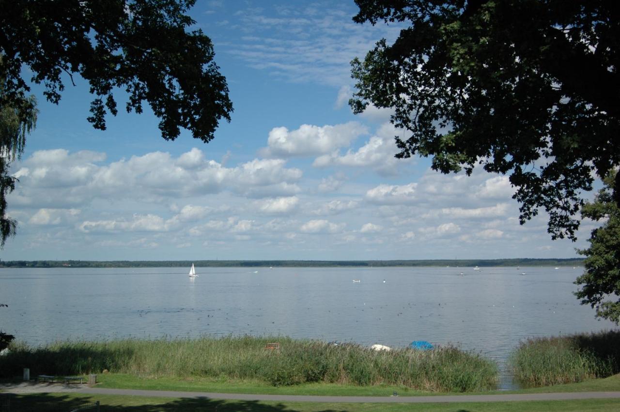 Ferienhaus Seensucht Gohren-Lebbin Bagian luar foto